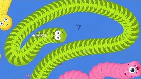 Rắn săn mồi-Game Con Giun đất chuyên đi săn-Little Big Snake#48