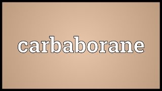 Carbaborane Meaning