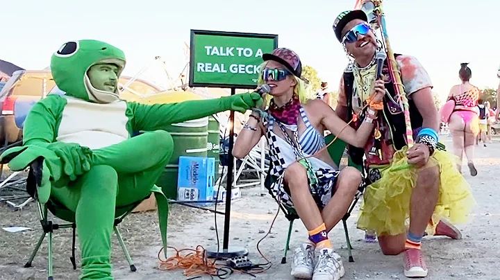 Being a Gecko at a Music Festival (Bonnaroo)