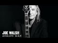 Joe Walsh - Spanish Dancer from Analog Man