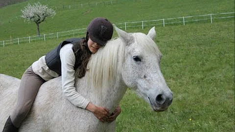 Comment faire plaisir à un cheval