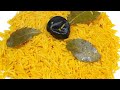 طريقه عمل الأرز البسمتى الأصفر طريقه عمل الأرز البسمتى الأصفر