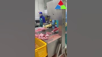 Máy cắt cá hồi đông lạnh J310 Shunling chính hãng