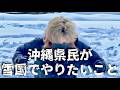 沖縄県民が雪国に行ったら絶対やること【山形】