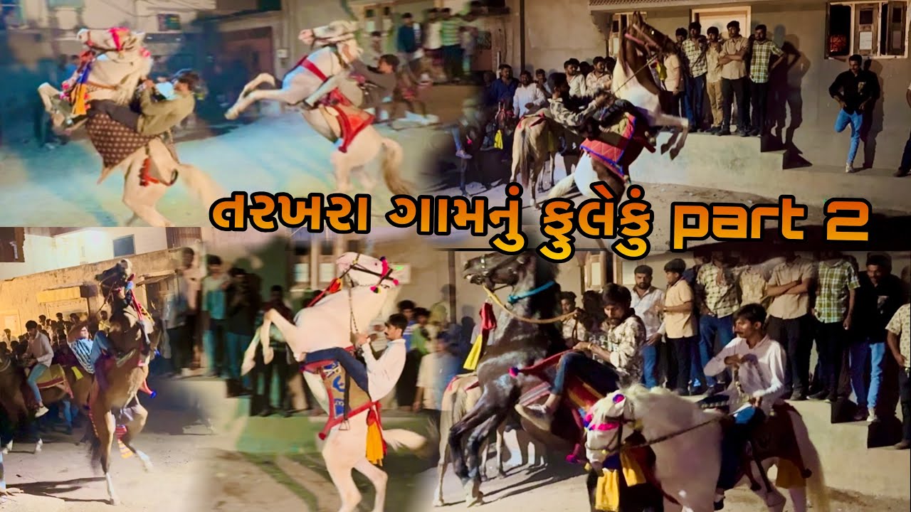 તરઘરા ગામનું ફુલેકુ part2