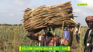 🛑XELCOM DAROU SALAM 2023 : KADUYE BAYE MONDIAYE «  Yallanan am ay xeuwal «