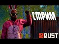 Атмосферный вечерний стрим на официалке Rust