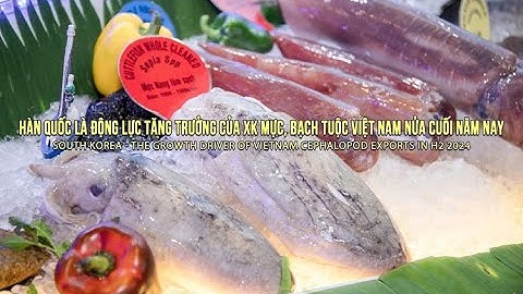 VASEP Highlight - T8/2024: Mực và Bạch tuộc