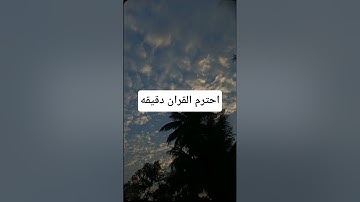 القران الكريم #القرآن_الكريم #الرحمن #المصحف #دويتو #لايك #اكسبلور #راحة_نفسية #حالات_واتس #المراه
