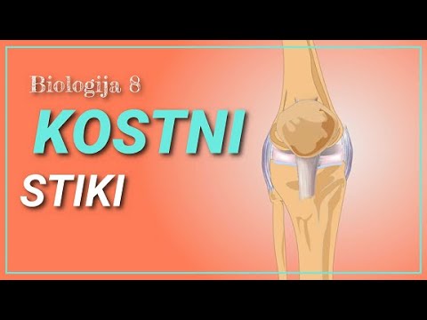 Video: Razlika Med Kostmi In Hrustanci