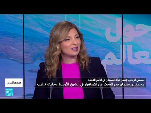 ما مصير القضية الفلسطينية بين رؤية 2030 لمحمد بن سلمان والشرق الأوسط الجديد لترامب؟ • فرانس 24