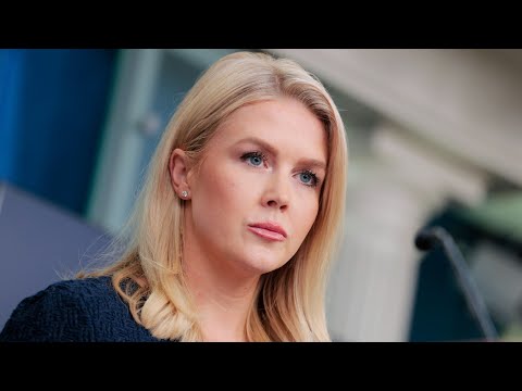 Leavitt praises Secret Service’s ‘quick and decisive’ response to ‘crazy’ Mar-a-Lago intruder