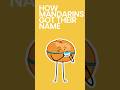 How Mandarins Got Their Name #shorts