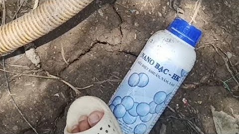 Diệt khuẩn cho tôm con bằng Nano bạc rất an toàn