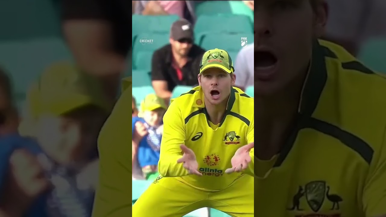 That is a SEED from Mitch Starc #AUSvENG #PlayOfTheDay @Dettol Australia