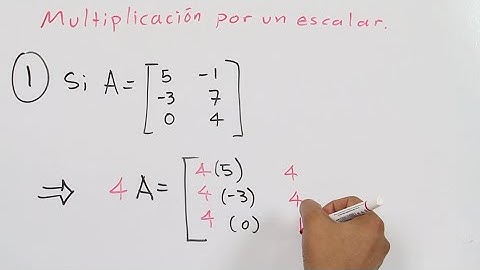 Multiplicación por un escalar en una matriz