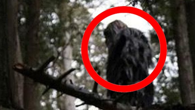 The Most Convincing Bigfoot Footage Ever Captured - YouTube
