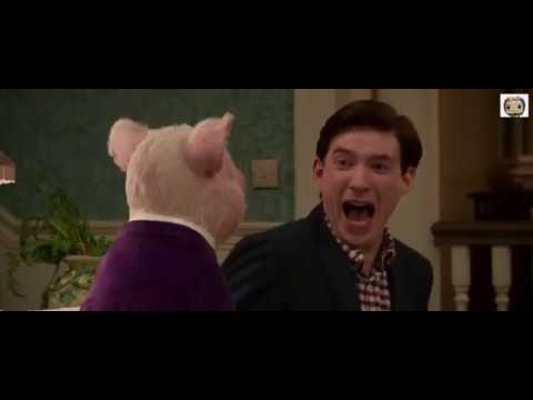 Peter Rabbit (2018) - Thomas Crush Animal Party Scene