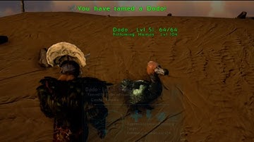 How to Tame a Dodo in ARK Mobile Revamp | Easy Beginner Guide | ARK