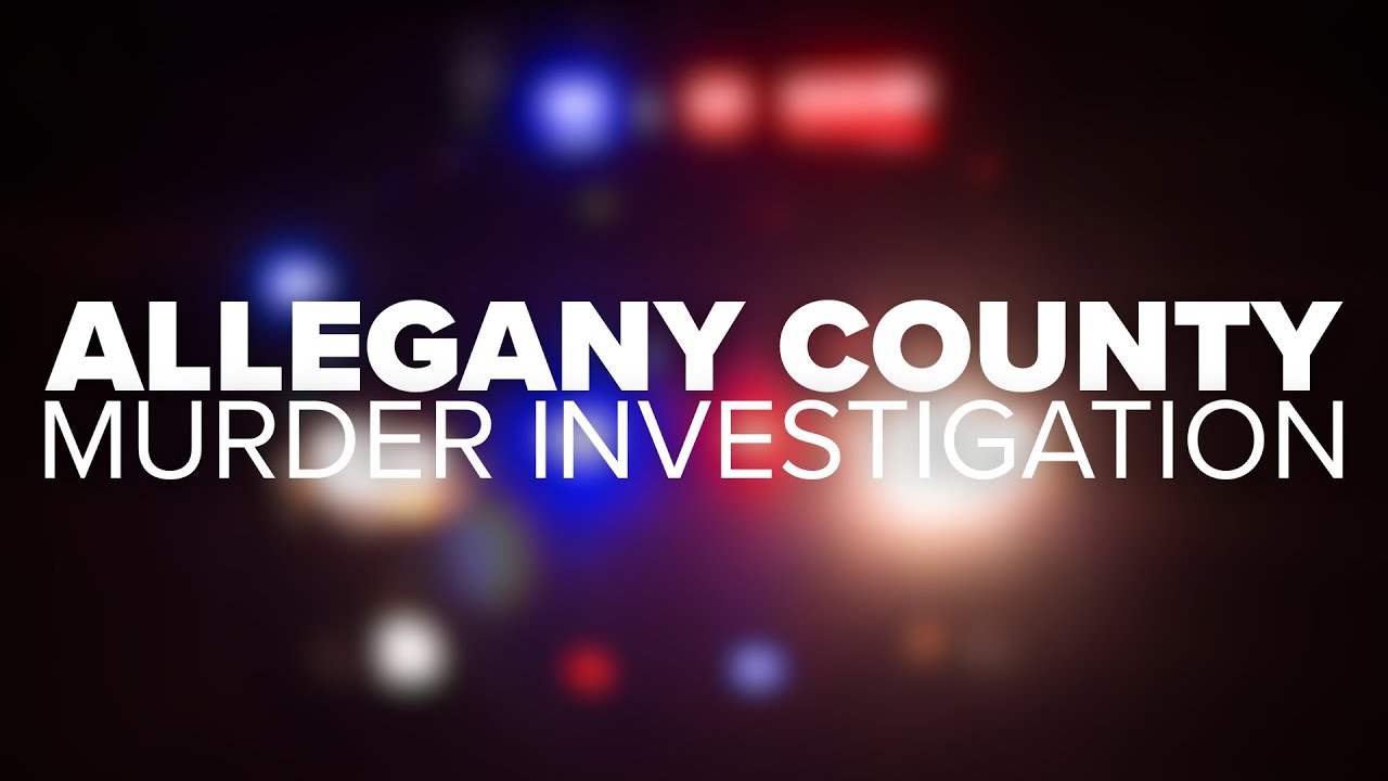 Allegany County man facing murder charge in deadly stabbing at Economy Inn