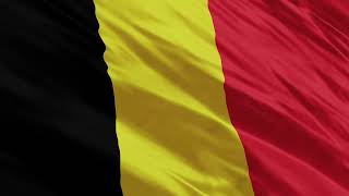Belgium realistic flag waving 4K video free download