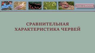 Сравнительная характеристика червей