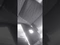 ٢٠ يوليو ٢٠٢١