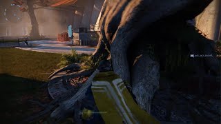 Destiny sunny falls for yet another Rage bait