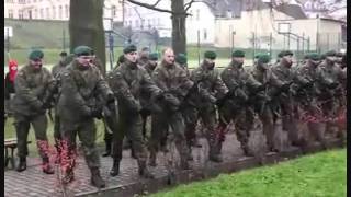 muzzle discipline
