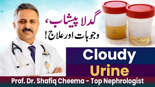 Cloudy Urine | Causes & Treatment #cloudy #uti #bestnephrologisinpakistan #topnephrologist