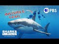 Understanding eDNA and Marine Conservation