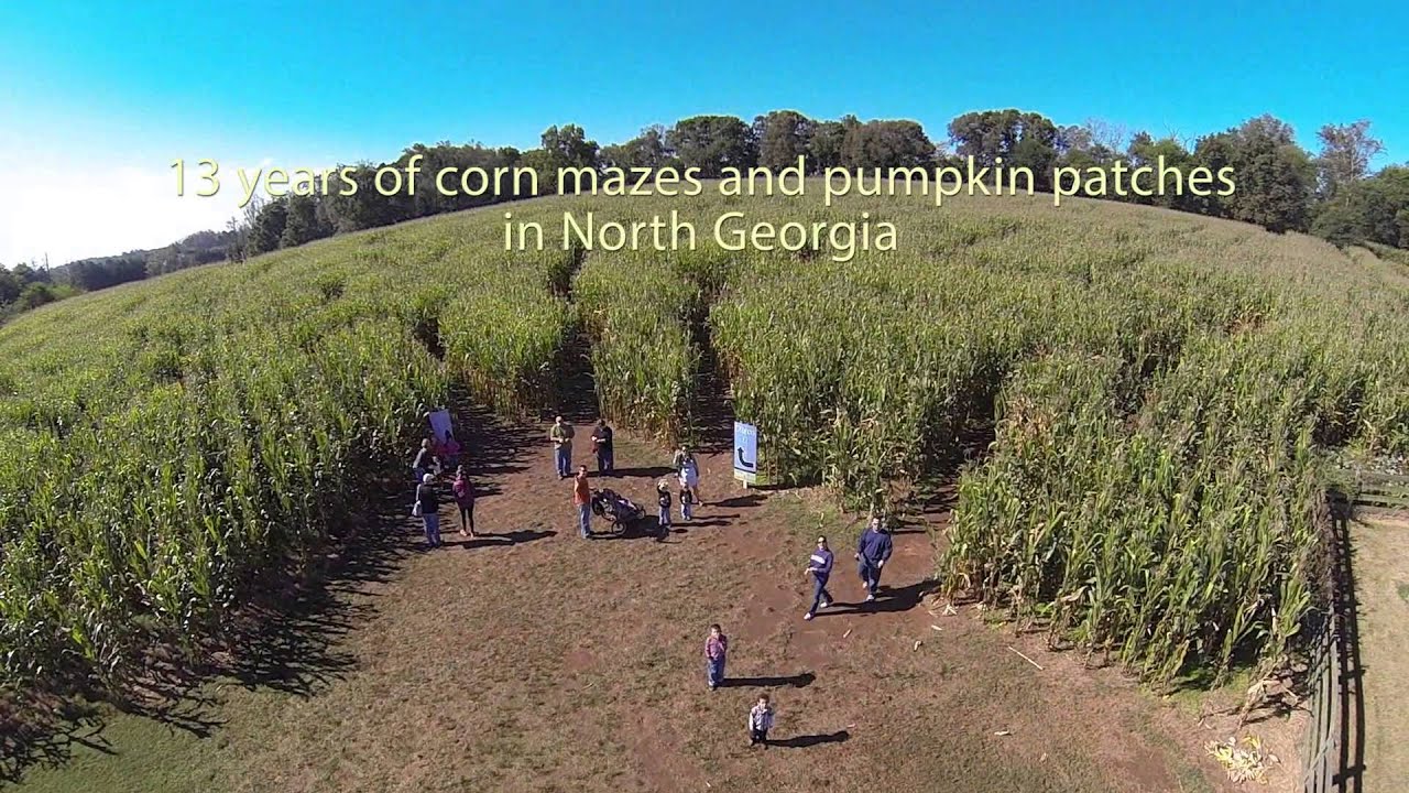 Cagle Family Farm YouTube