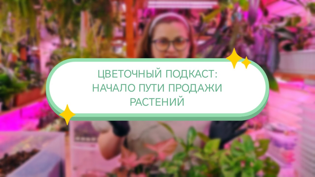 ЦВЕТОЧНЫЙ ПОДКАСТ: НАЧАЛО ПУТИ ПРОДАЖИ РАСТЕНИЙ