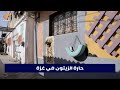 تعر فوا على حارة الزيتون الملونة في غزة 