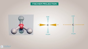 Fischer Projection