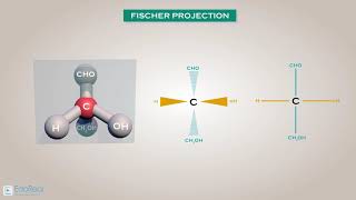 Fischer Projection