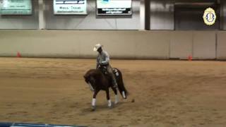 ***SOLD*** **Genuinely Code Red** 2007 AQHA Gelding