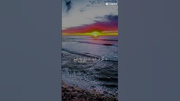 آيات بينات من الذكر الحكيم للقارئ عبدالرحمن مسعد