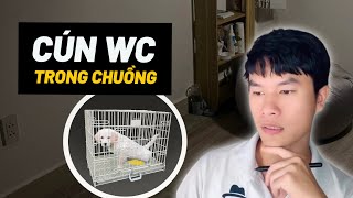 Cún wc trong chuồng | Bossdog Vietnam