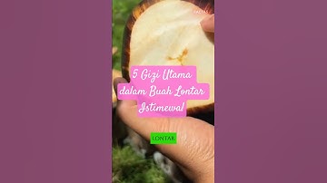 5 Senyawa Penting dalam Buah Lontar yg Menakjubkan #shorts #herbal #lontar