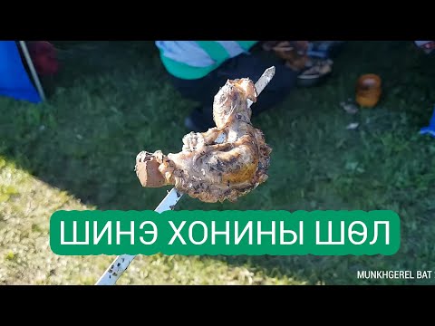 Видео: Хоньчны шөл