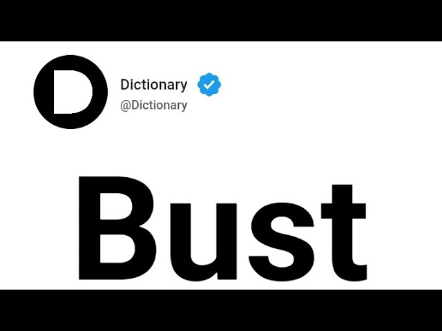 Pronunciation of Bust  Definition of Bust 