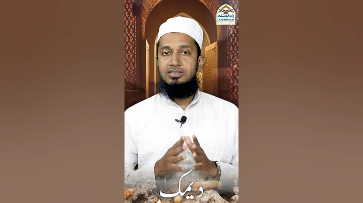 Termite || دیمک #deemak #dimak