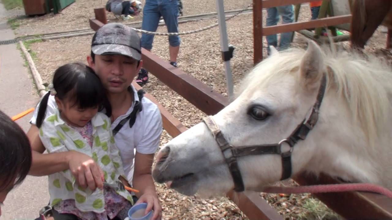 富士サファリパーク 馬ににんじんあげるの巻 Youtube