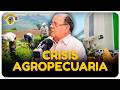 Crisis agropecuaria en RD: El colapso del Banco Agrícola