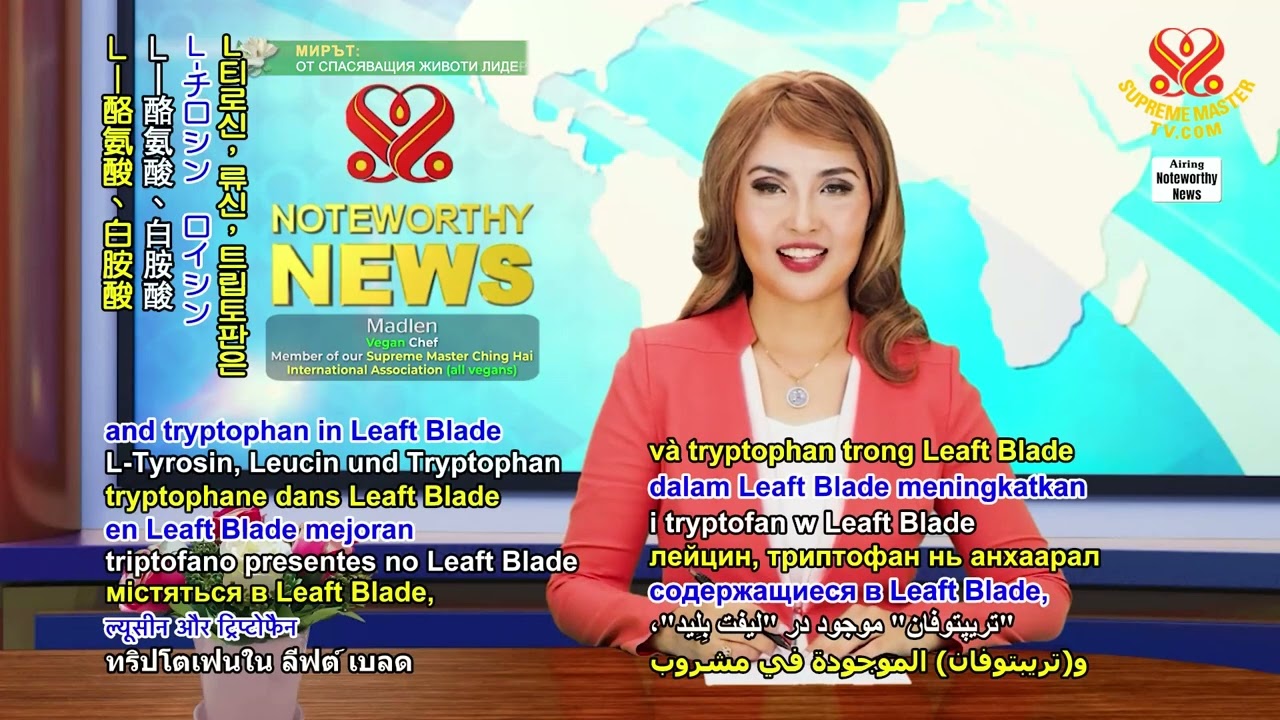 New Zealand food startup launches high-protein vegan sports drink紐西蘭食品新創公司推出高蛋白純素運動飲料