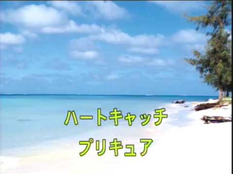 Alright ハートキャッチプリキュア カラオケ