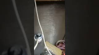 5X5 3205 Mosfet Fish Stunner