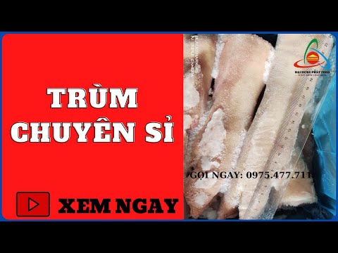 Video MÓNG HEO - DỰNG SAU, GIÒ GÂN [BA LAN] | THỰC PHẨM ĐÔNG... - youtube