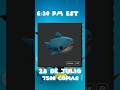 LIMITED GRATIS [ RANDA #roblox #limited